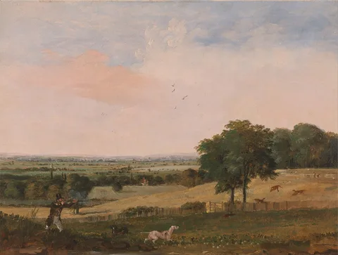 Edward Duncan, Partridge Shooting