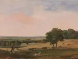 Edward Duncan, Partridge Shooting