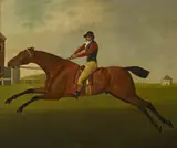 John Nost Sartorius, "Baronet" with Samuel Chifney up.