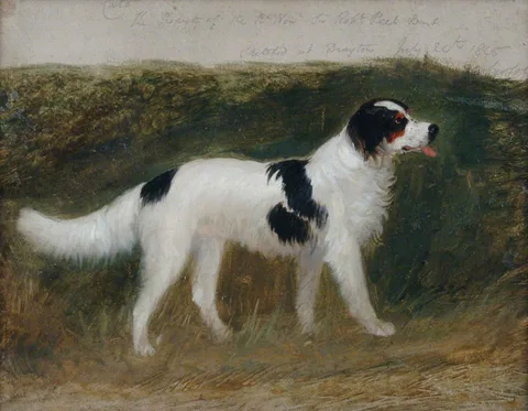 George Cole, 'Cato', Property of the Right Honourable Sir Robert Peel, Bt