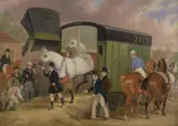 James Pollard, The Derby Pets: The Arrival