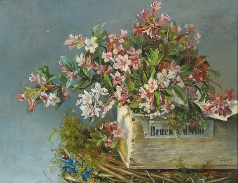 Andreas Lach, Alpine Roses in a Window Box