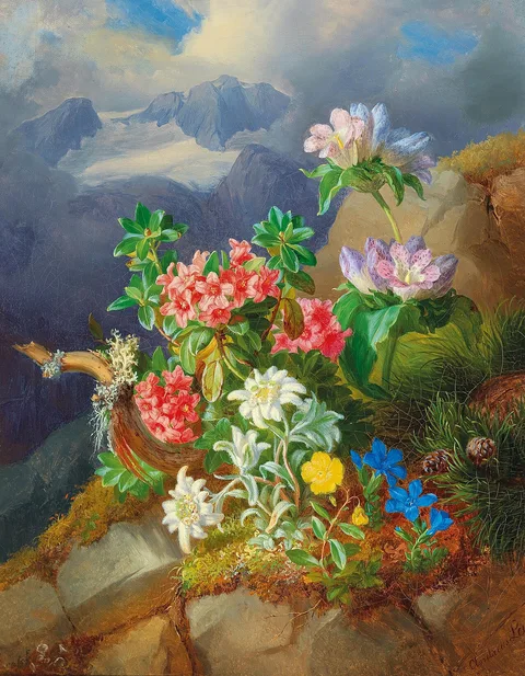 Andreas Lach, Alpine flowers
