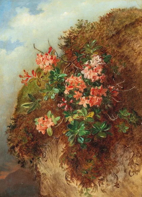 Andreas Lach, Alpine Rose on a Mountain Slope