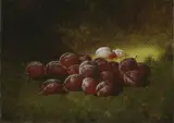 Carducius Plantagenet Ream, Purple Plums
