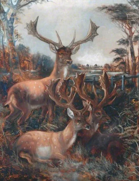 Robert Cleminson, Three Stags
