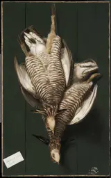 Alexander Pope, Still Life with Two Game Birds