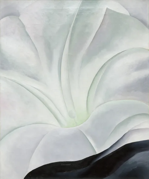 Georgia O'Keeffe, Morning Glory with Black
