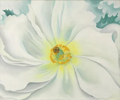 Georgia O'Keeffe, White Flower