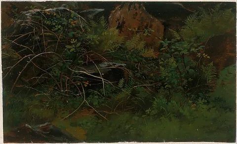 William Stanley Haseltine, Study from Nature