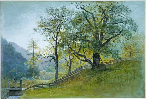 William Stanley Haseltine, Vahrn in Tyrol near Brixen