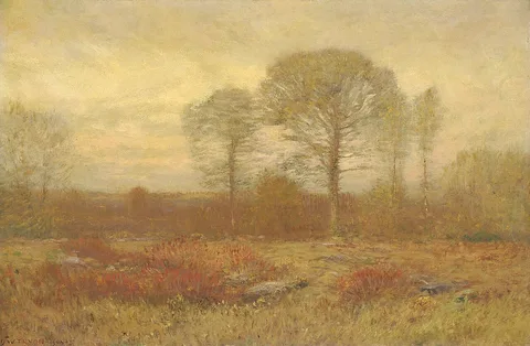 Dwight William Tryon, November