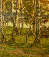 Elisabeth von Eicken, Birches on the shore of the Bodden