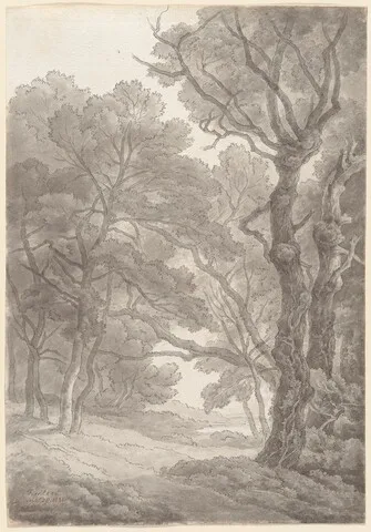 John White Abbott, Trees at Fordland, Devon