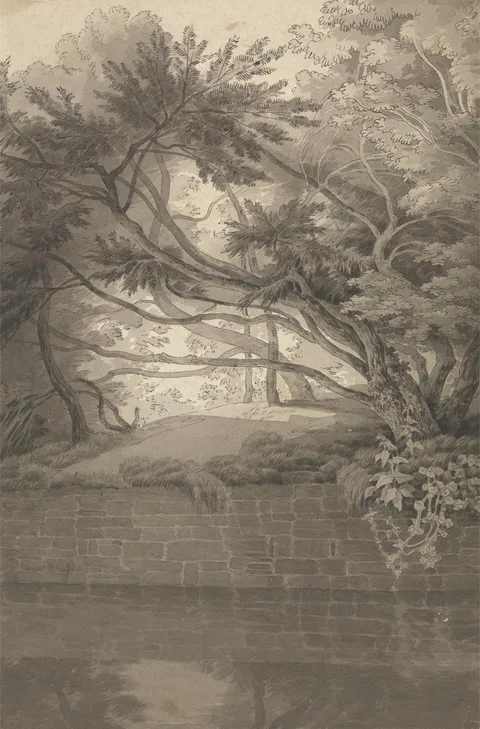 John White Abbott, Trees Overhanging a Lake