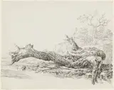 Jean Antoine Constantin, An Ancient Tree Fallen Beside a Stream