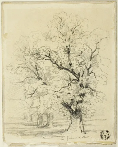Thomas Creswick, Ches[t]nut in Greenwich Park