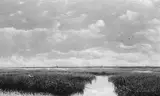 Milne Ramsey, Marsh Grass
