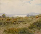 Jindřich Tomec, Untitled