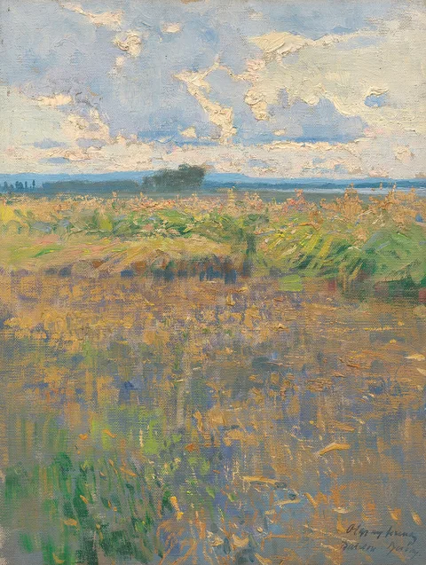 Ferenc Olgyay, Untitled