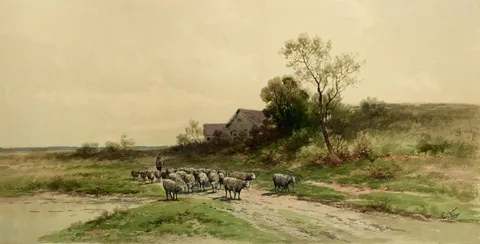 Carl Weber, Sheep