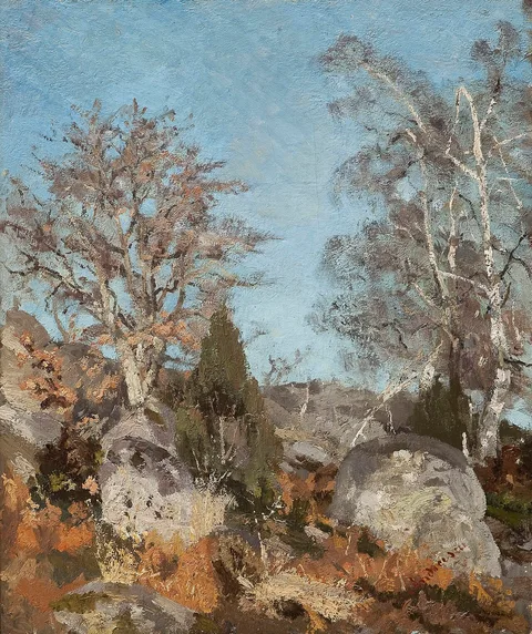 Ion Andreescu, Rocks and Birch Trees