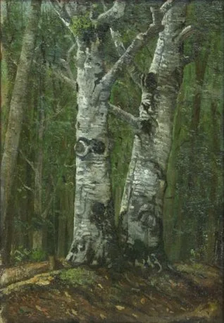 Ion Andreescu, Beech forest in summer