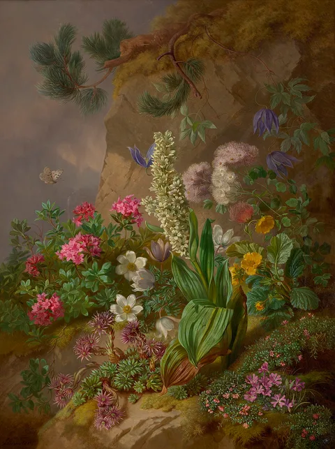 Josef Schuster, Alpine Flowers