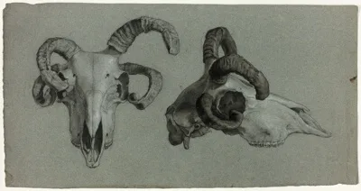 George Hayter, Rams' Skulls