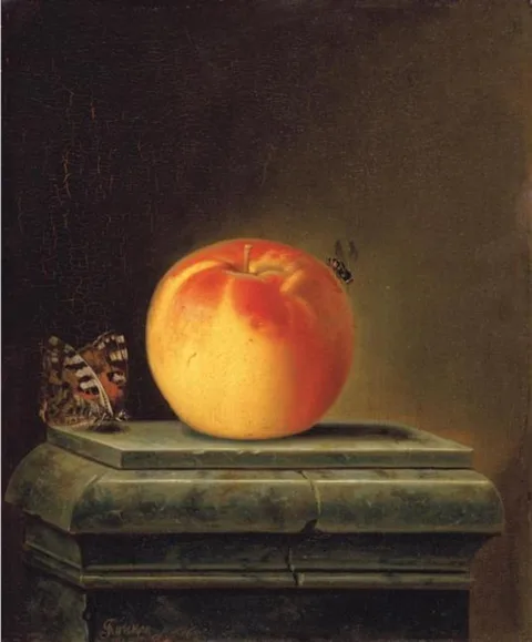 Justus Juncker, Still Life with Apple and Insects