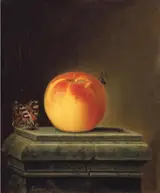 Justus Juncker, Still Life with Apple and Insects