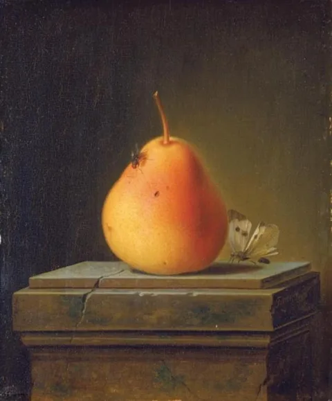Justus Juncker, Still Life with Pear and Insects