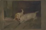 Charles Jones, Dogs at play