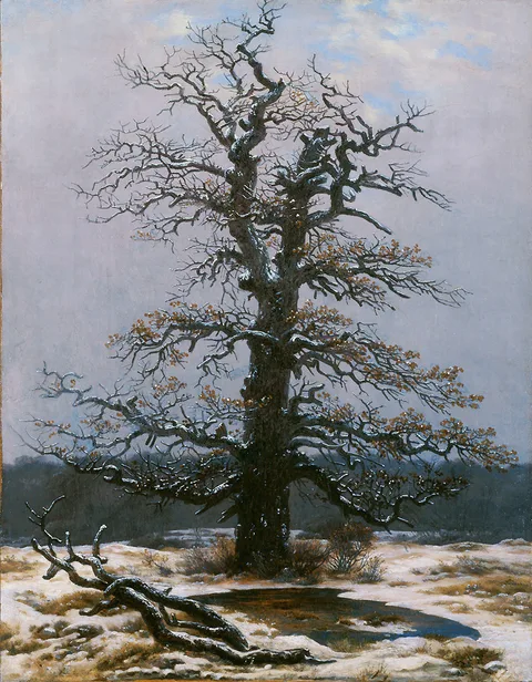 Caspar David Friedrich, Oak in the Snow