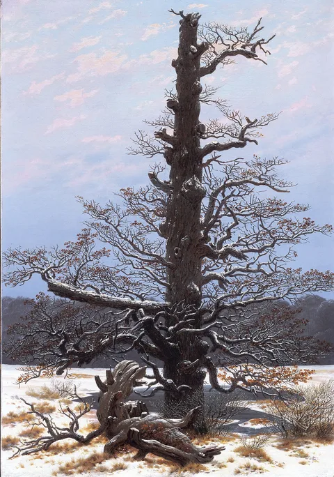 Caspar David Friedrich, The Oaktree in the Snow