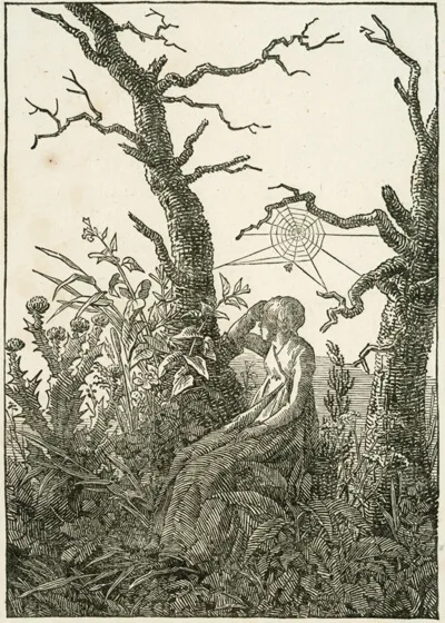 Caspar David Friedrich, Woman with Spider's Web Between Bare Trees