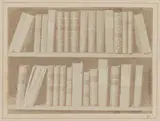 William Henry Fox Talbot, A Scene in a Library