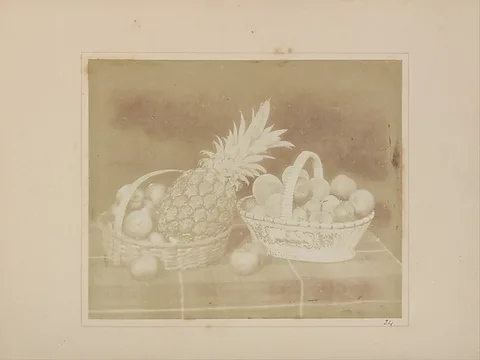 William Henry Fox Talbot, A Fruit Piece