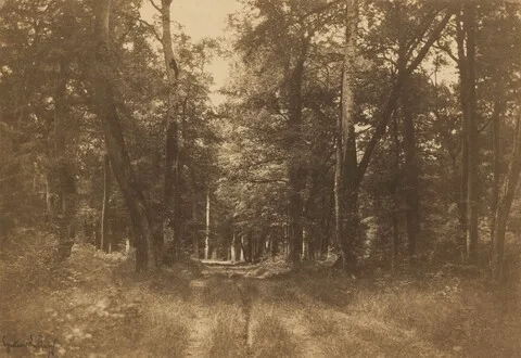 Gustave Le Gray, Bas-Bréau, Forest of Fontainebleau