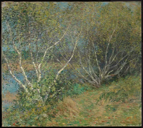 Willard Metcalf, The Birches