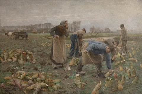 Emile Claus, The Beet Harvest