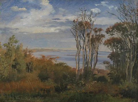 Johan Lundbye, Kolås Wood, Vejrhøj