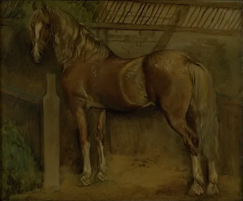 Johan Lundbye, Seksten-årig hingst af Knabstrup-racen