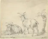 Pieter Gerardus van Os, A Standing and a Lying Goat Near a Small Tree