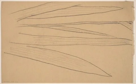 Charles Sprague Pearce, Study of a Flower [verso]