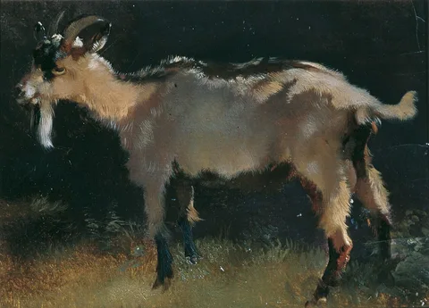 Anton Schrodl, Untitled