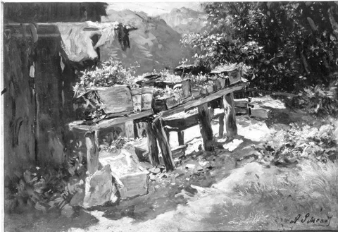 Anton Schrodl, Untitled