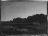 Anton Zwengauer, Untitled