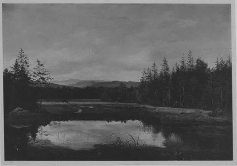 Anton Zwengauer, Untitled