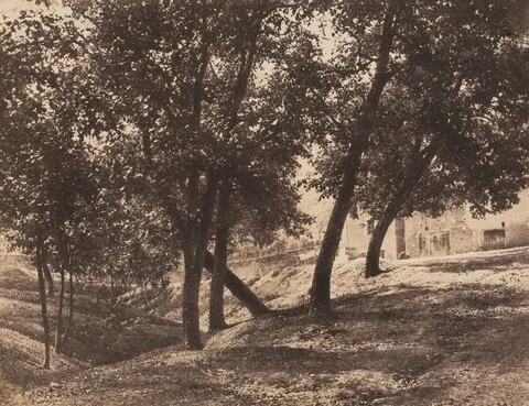 André Giroux, Trees